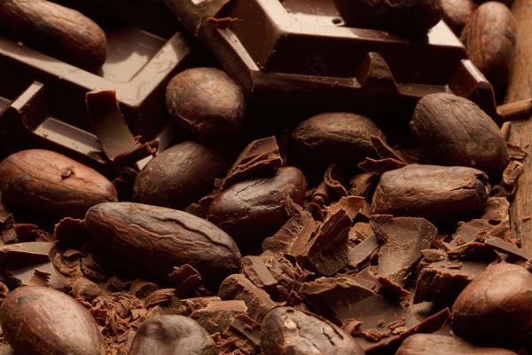 Cacao da varietà Criollo e Trinitario